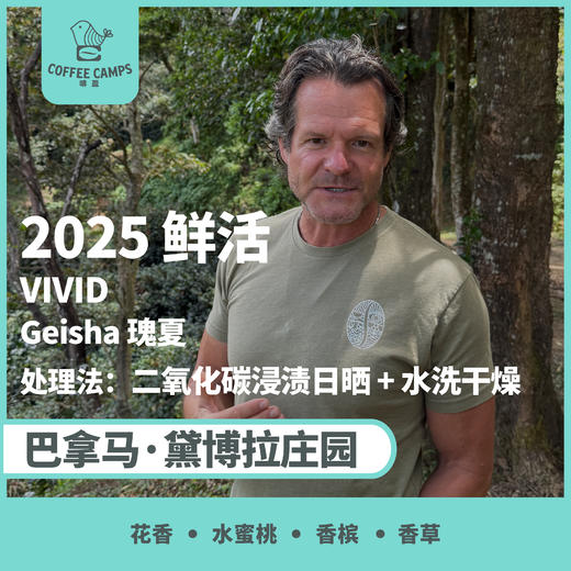 25产季 巴拿马 黛博拉 Finca Deborah 鲜活 VIVID 瑰夏 二氧化碳浸渍日晒 + 水洗干燥（生豆）空运批次 商品图0