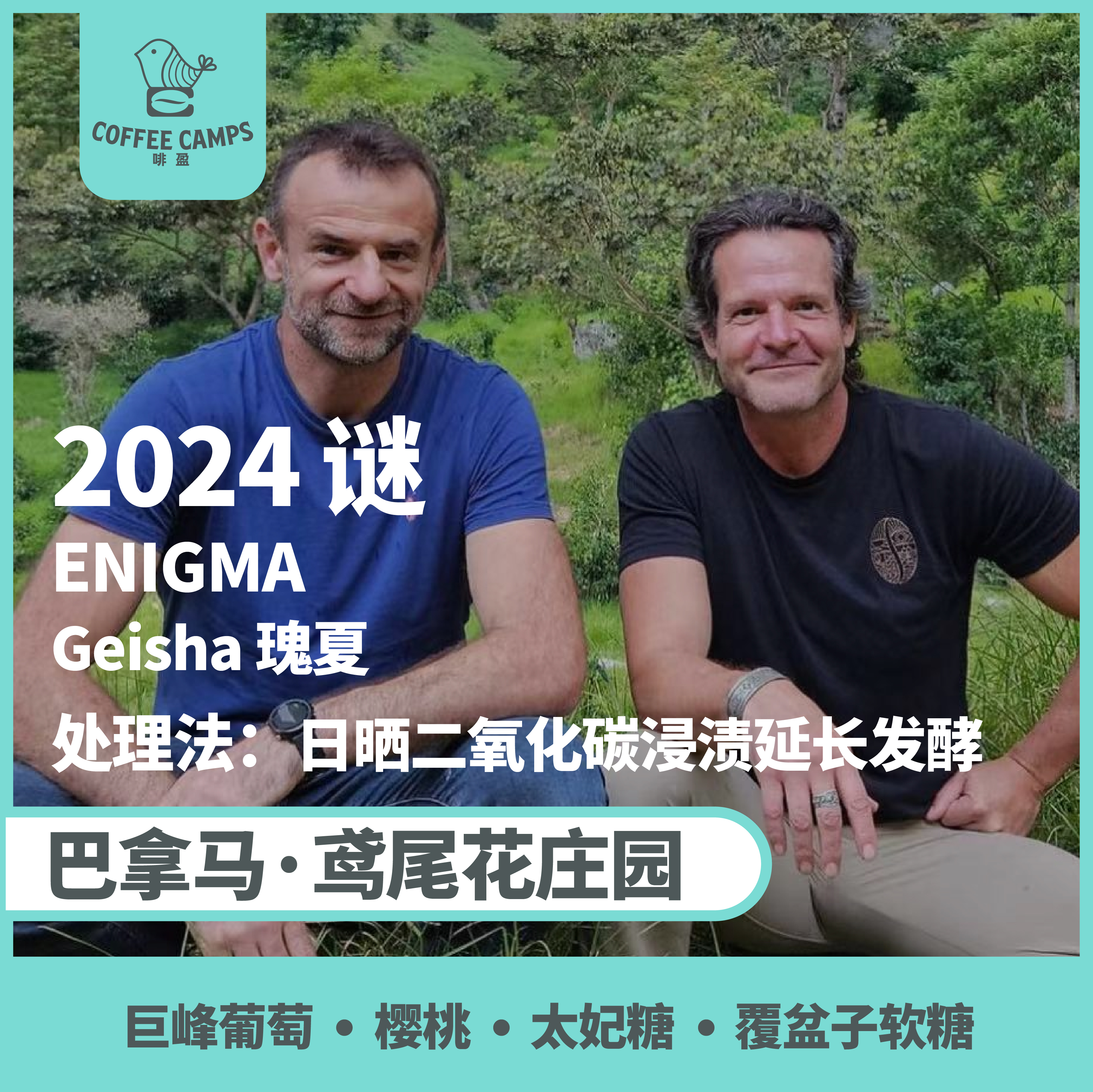 24产季 巴拿马 鸢尾花 Iris 谜 ENIGMA 瑰夏 日晒二氧化碳浸渍延长发酵（生豆）空运批次