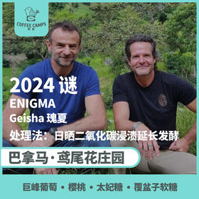 24产季 巴拿马 鸢尾花 Iris 谜 ENIGMA 瑰夏 日晒二氧化碳浸渍延长发酵（生豆）空运批次