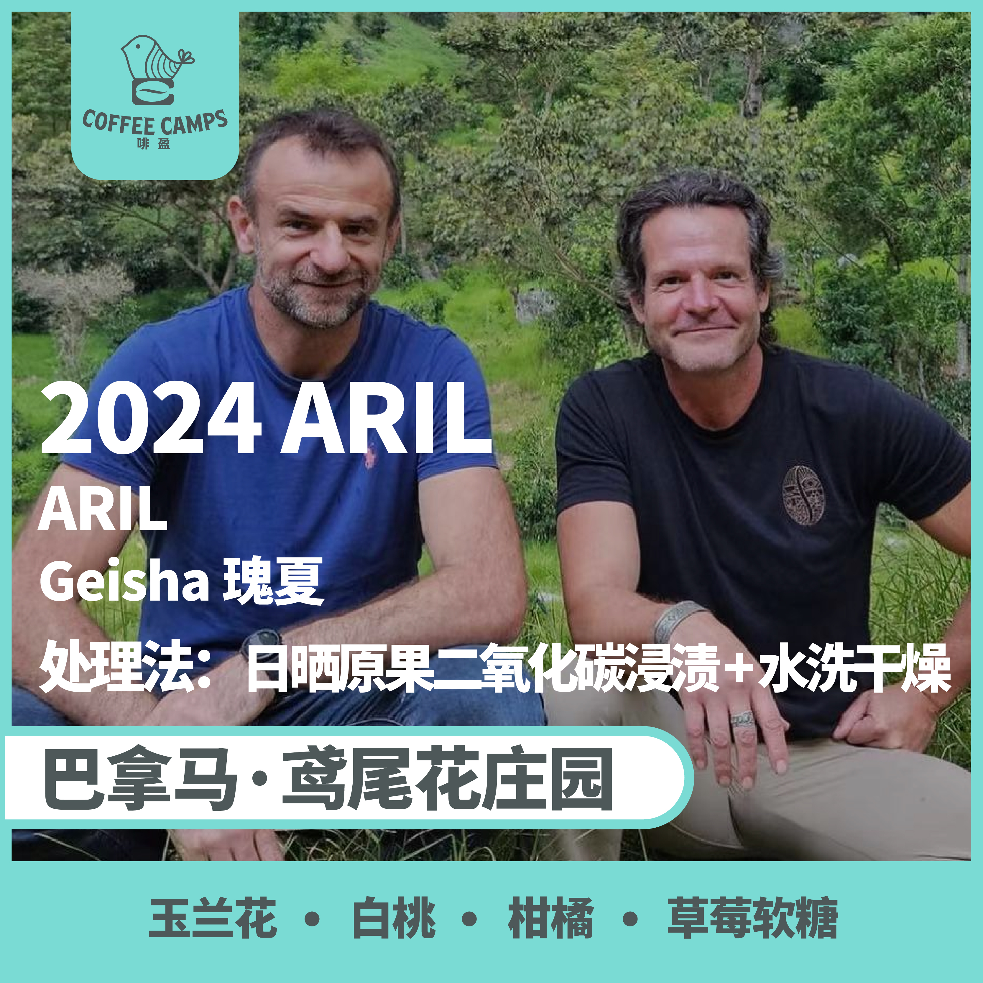 24产季 巴拿马 鸢尾花 Iris  ARIL 艾瑞尔 瑰夏 日晒原果二氧化碳浸渍 + 水洗干燥（生豆）空运批次