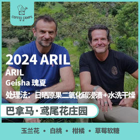 24产季 巴拿马 鸢尾花 Iris  ARIL 艾瑞尔 瑰夏 日晒原果二氧化碳浸渍 + 水洗干燥（生豆）空运批次