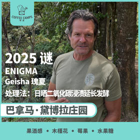 25产季 巴拿马 黛博拉 Finca Deborah 谜 ENIGMA 瑰夏 日晒二氧化碳浸渍延长发酵（生豆）空运批次