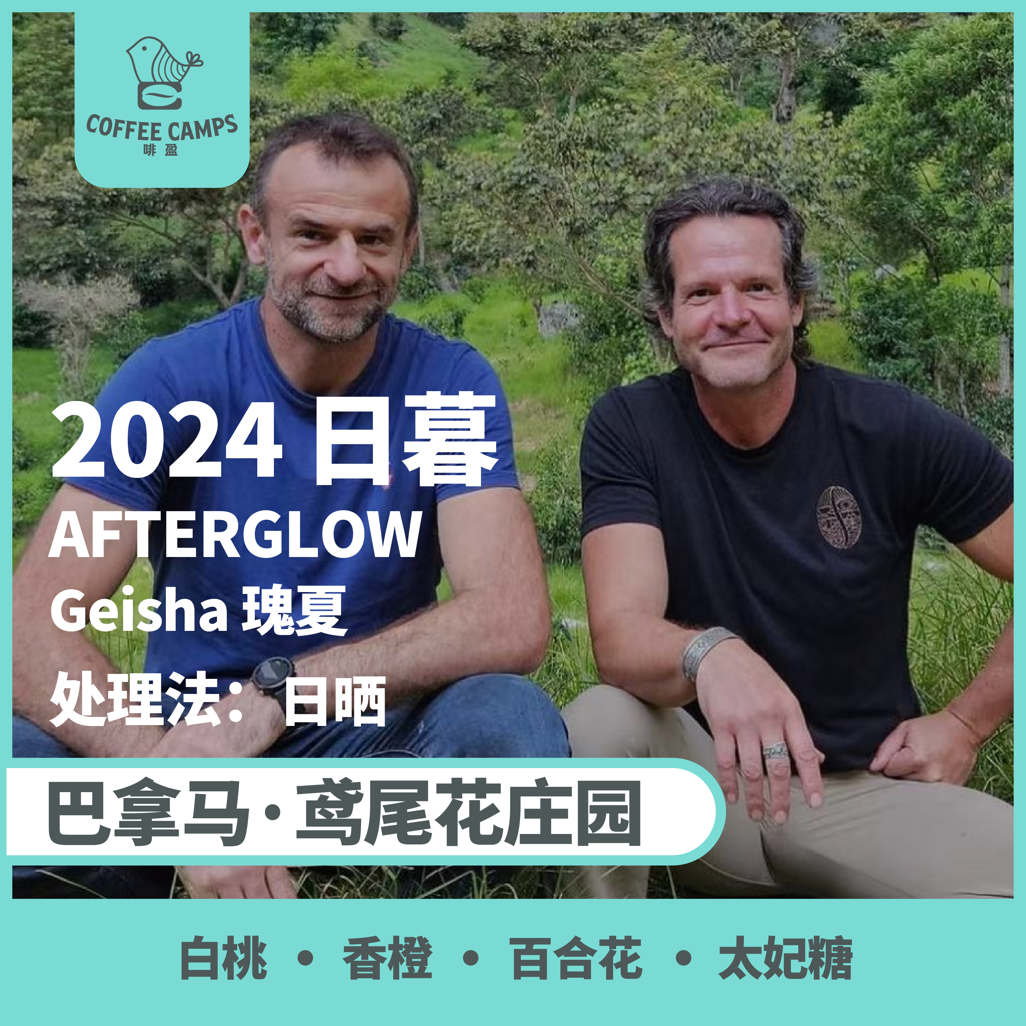 24产季 巴拿马 鸢尾花 Iris 日暮 AFTERGLOW 瑰夏 日晒（生豆）空运批次