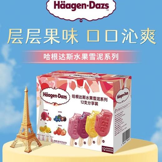 【悦惠精选】哈根达斯水果雪泥系列12支900g 商品图1