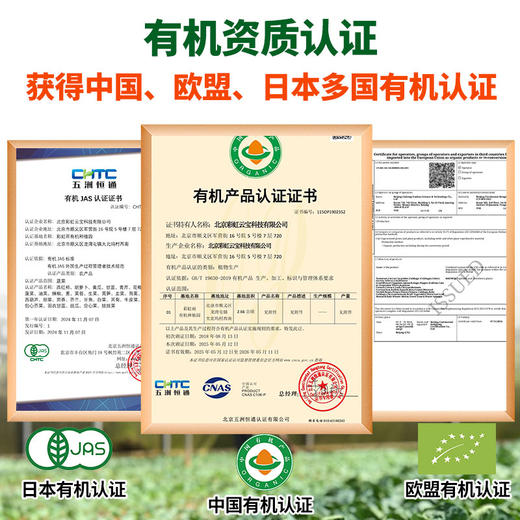 京津冀包邮 有机蔬菜宅配套餐三人亲子蔬菜包 8斤*4份 商品图2