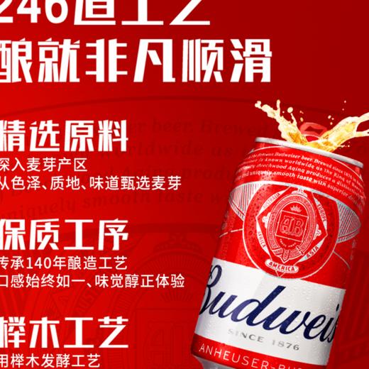 【悦惠精选】百威啤酒255ml 商品图3