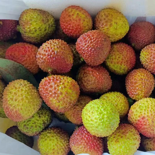 妃子笑荔枝（礼盒）毛重约2.6kg 商品图1