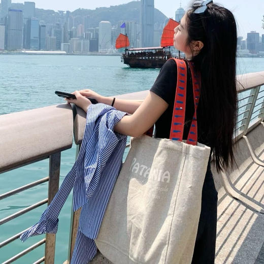 巴塔哥尼亚帆布包 商品图4