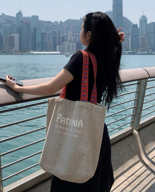 巴塔哥尼亚帆布包 商品图6