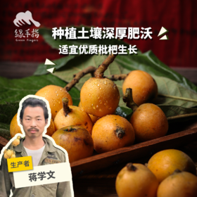 生态枇杷 | 合作生产*Ecological loquat | Coproduction