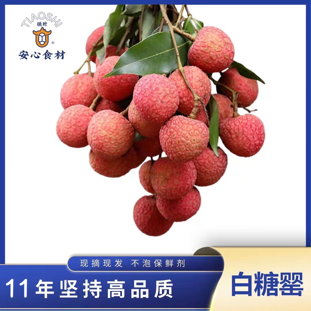 5月18日首发 【挑时•高州白糖罂荔枝】 礼盒 空运直达 现摘现发