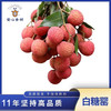 5月18日首发 【挑时•高州白糖罂荔枝】 礼盒 空运直达 现摘现发 商品缩略图0