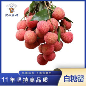 5月18日首发 【挑时•高州白糖罂荔枝】 礼盒 空运直达 现摘现发