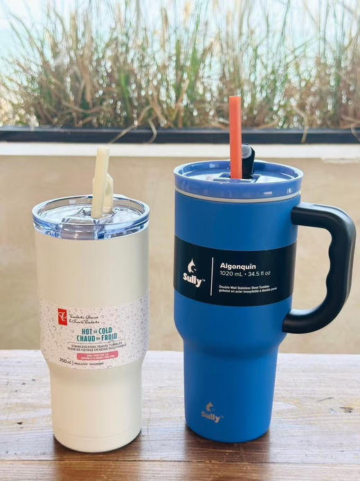 出口外贸加拿大不锈钢大容量车载旅行便携式保冷保温杯（吸管直饮两用）两款都是出口到加拿大的，品质绝绝子磨砂手感～
蓝色1020ml，白色700ml 商品图1
