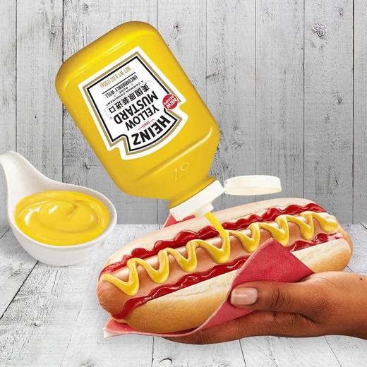 【悦惠精选】亨氏美国进口黄芥末调味酱255g*3 商品图3