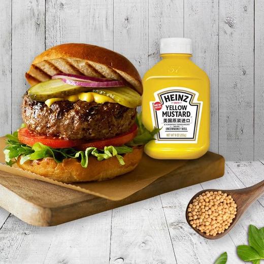 【悦惠精选】亨氏美国进口黄芥末调味酱255g*3 商品图1