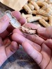 【七彩带壳野地花生】  稀有品种 原生态种植 晒干 500g*2袋/份 商品缩略图5