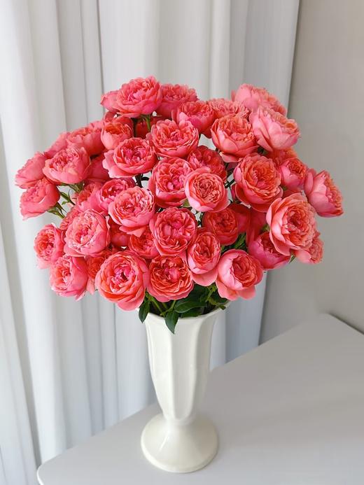 精品花材桃红果汁多头玫瑰花10支 商品图0