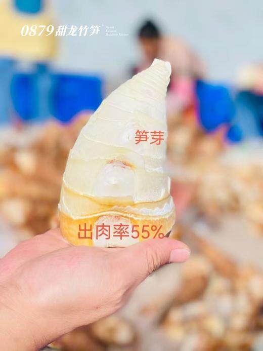 普洱甜笋 商品图1