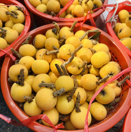 东山白玉枇杷 新鲜直采 商品图4