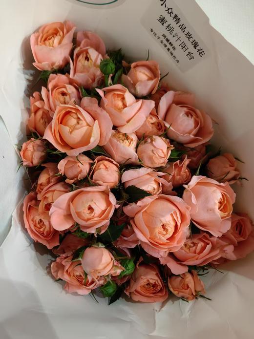 精品花材蜜桃汁阳台多头玫瑰花10汁 商品图1