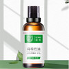 【站桩养正•养正好生活】西蔻荷荷巴油30ml 商品缩略图1