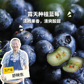 生态高山蓝莓（云南） | 合作生产*Ecological Yunnan alpine blueberry |  artner Production