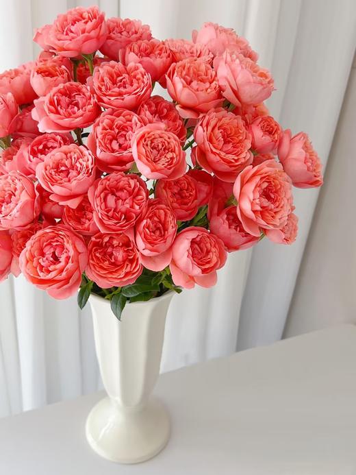 精品花材桃红果汁多头玫瑰花10支 商品图2