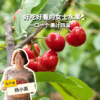有机白鹿原樱桃（预售）| 合作生产 * Organic cherry of Bailuyuan | Coproduction 商品缩略图0