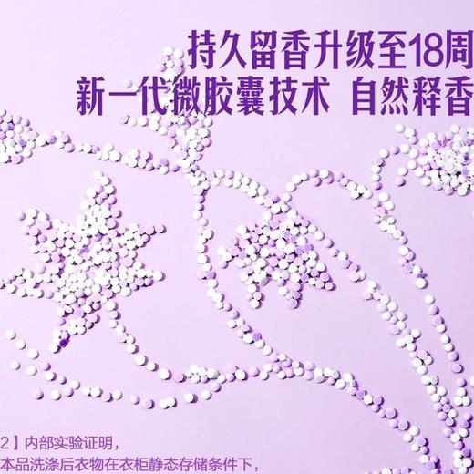 【悦惠精选】MM衣物留香珠(幽谷风铃)1.5kg 商品图4