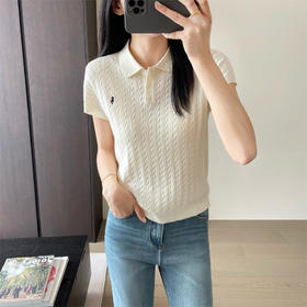 夏季薄款真丝精纺羊毛小马刺绣POLO领绞花短袖针织衫
