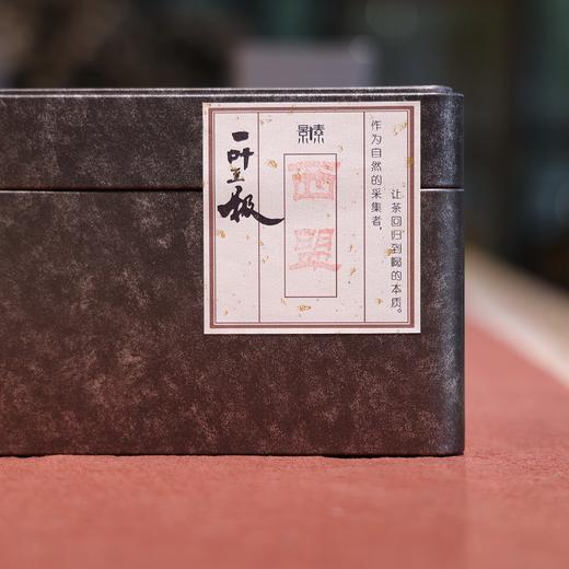 「西盟之春2025」茶气厚重，高海拔60年纯正大树茶（250g） 商品图0