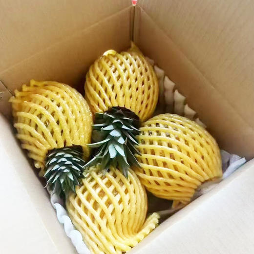 芒果凤梨（礼盒）4个装 商品图1