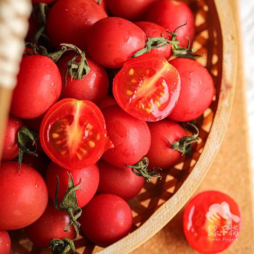 生态圣女果   | 合作生产 *Ecological Cherry Tomatos| Coproduction 商品图3