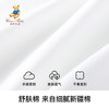 【90-110】【精典泰迪】女童夏季短袖T恤 商品缩略图2