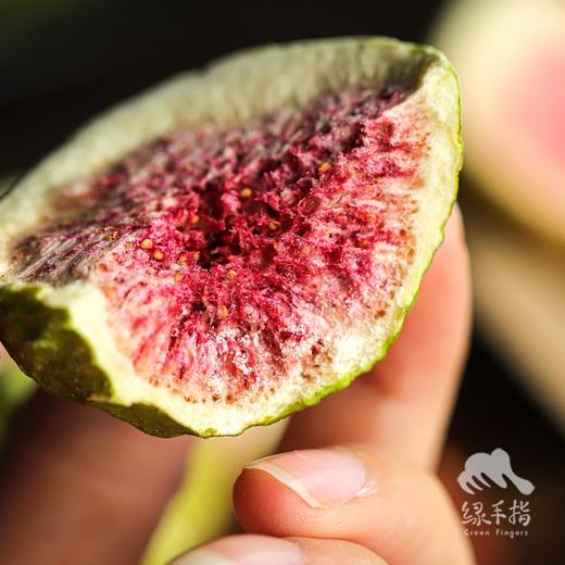 生态青皮无花果干 | 合作生产*Ecological dried figs｜Coproducted 商品图2