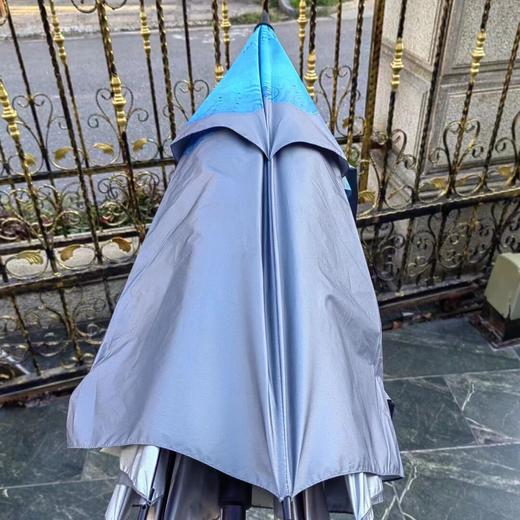 Q3GGGG雨伞G4JP03 商品图3