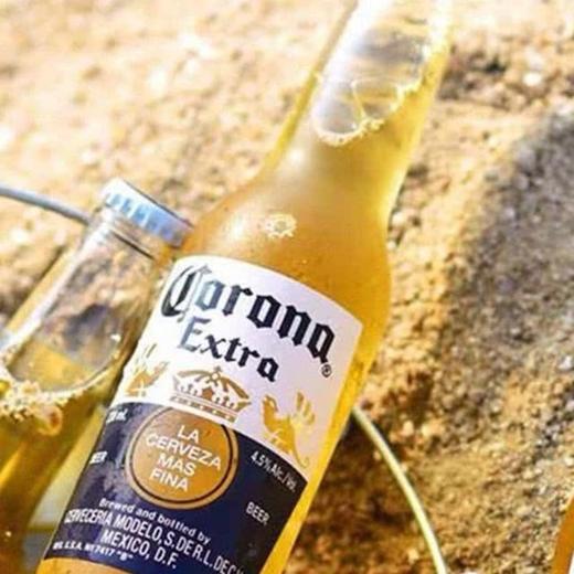 【悦惠精选】科罗娜特级啤酒207ml 商品图3