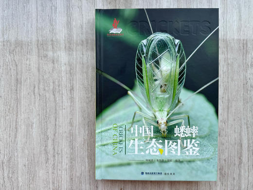 《中国蟋蟀生态图鉴》何祝清 朱笑愚 张韬 海峡书局【官方正版 48小时发货】 商品图2