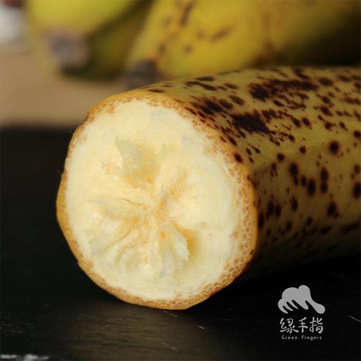 生态香蕉（圆通） | 合作生产 * Eco-banana | Partner Production 商品图1