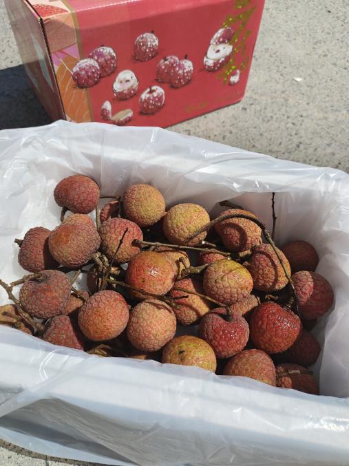 匠心级桂味荔枝一箱 商品图2