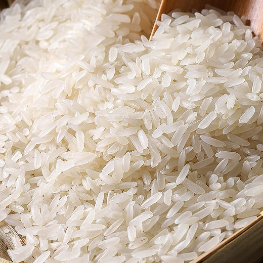 巴东县食堂专供天子岩大米20kg/袋 商品图1