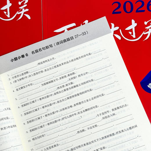 2026百题大过关 中考 语数英 初中教辅 全国通用 专项训练 商品图13