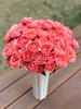 精品花材桃红果汁多头玫瑰花10支 商品缩略图1