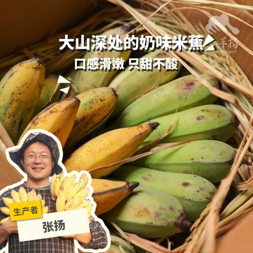 生态粉蕉 | 合作生产 *Eco-Dwarf banana | Coproduction 商品图0