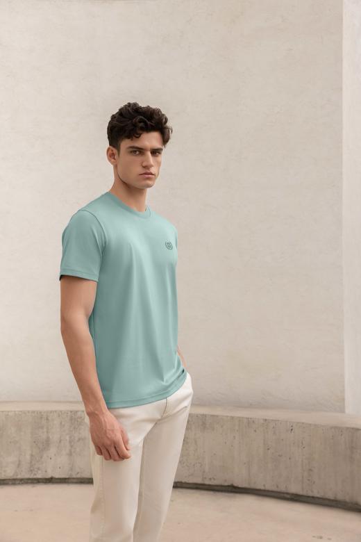 佐丹奴男装【全棉液氨】短袖T恤衫01023802 商品图13