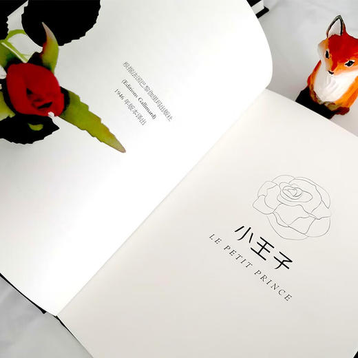 圣埃克苏佩里作品集（全4册，精装典藏版） 商品图8