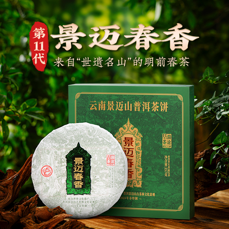 澜沧古茶2024年景迈春香普洱茶生茶大饼357g