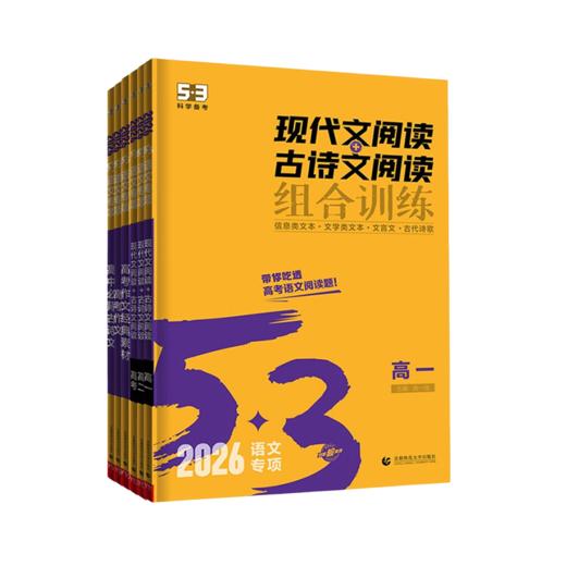 5.3语文高一高二高三高考现代文阅读古诗文阅读作文素材 五三高中高考语文人教版阅读理解训练 商品图4