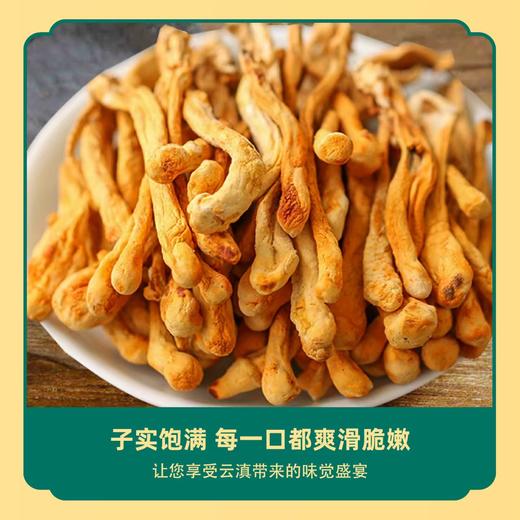 筠如意虫草花80G 商品图3